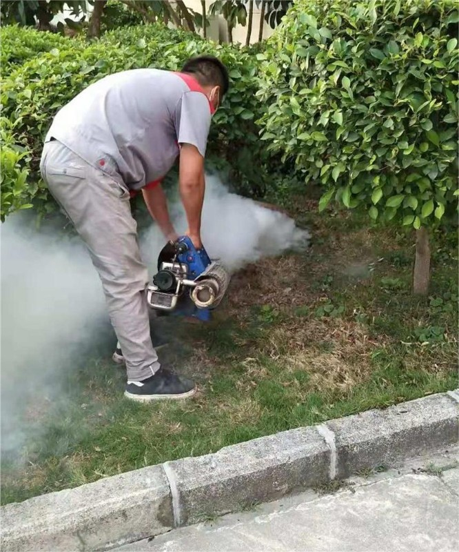 深圳坪山新区就近上门超市杀虫灭鼠-杀虫灭鼠高效细致，服务到