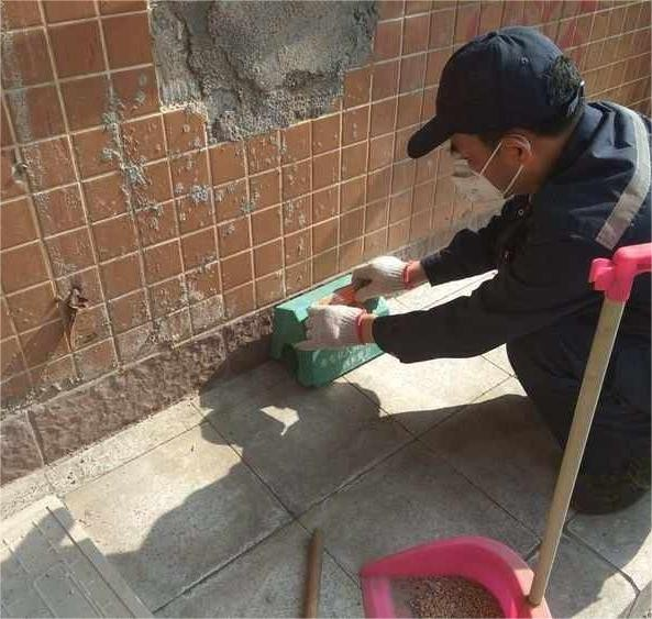 深圳光明新区附近专业杀虫-杀虫灭鼠高效细致